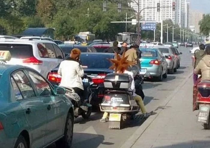 Очередная подборка автоприколов