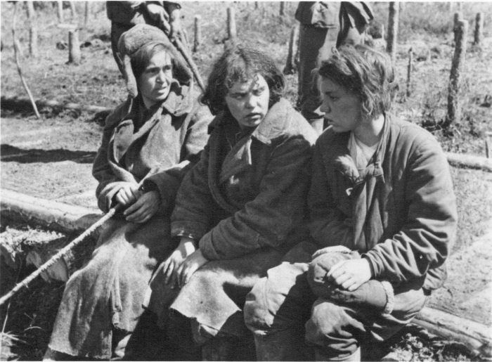 Страшная судьба женщин-пленниц во время ВОВ Страшная судьба женщин-пленниц во время ВОВ