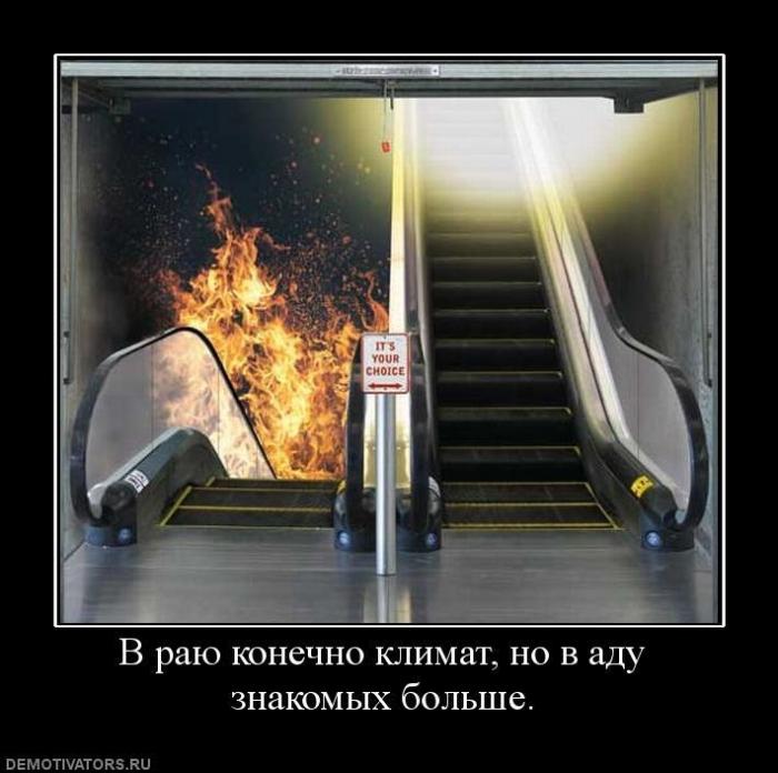 Демотиваторы (73 фото)