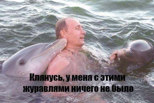 Прикольные картинки (45 фото)