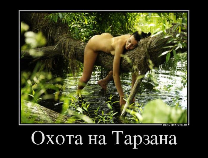 Демотиваторы (67 фото)