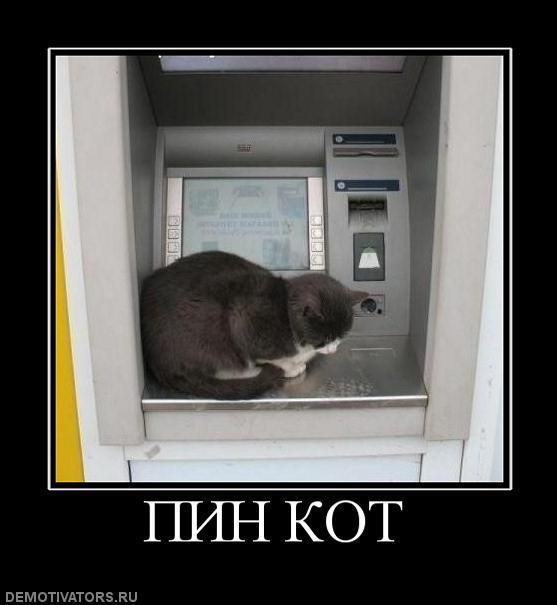 Демотиваторы (67 фото)