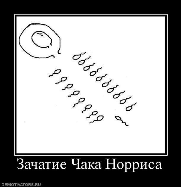 Демотиваторы (67 фото)