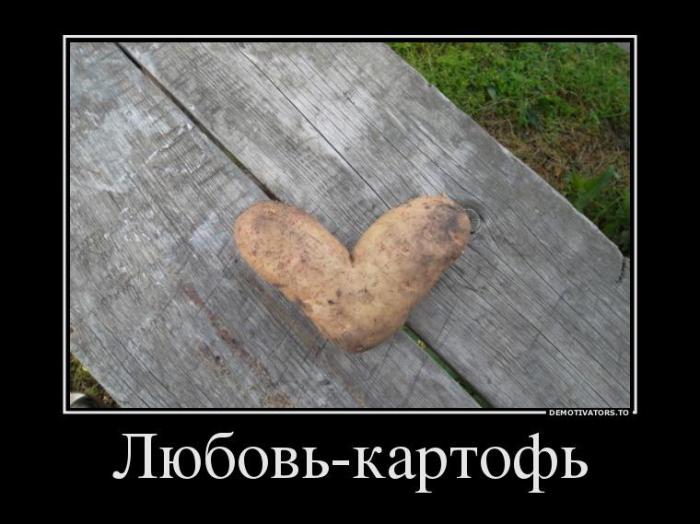 Демотиваторы (67 фото)