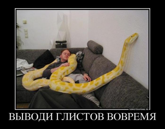 Демотиваторы (67 фото)