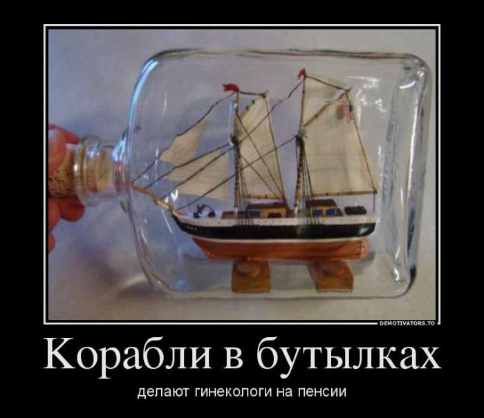 Демотиваторы (67 фото)