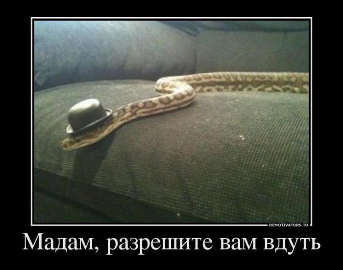 Демотиваторы (67 фото)