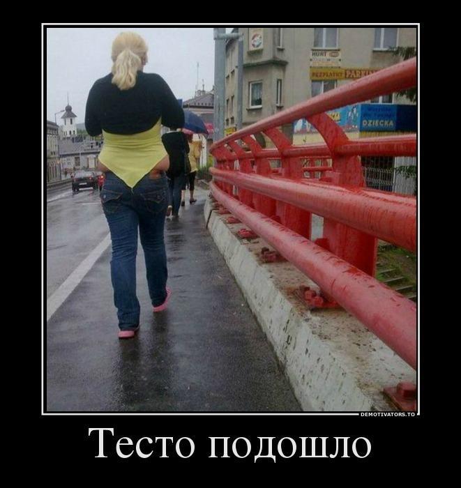 Демотиваторы (67 фото)