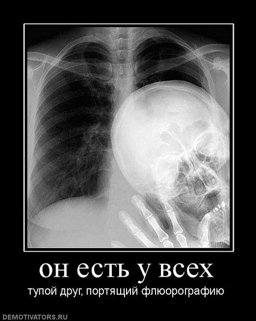 Демотиваторы (67 фото)
