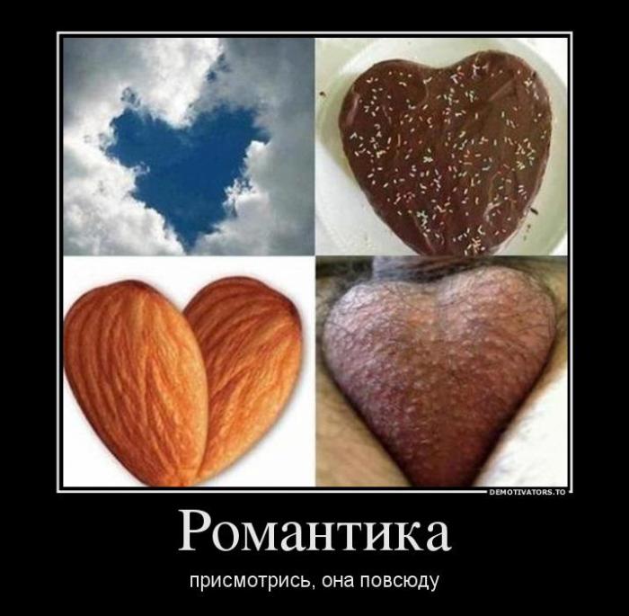 Демотиваторы (67 фото)