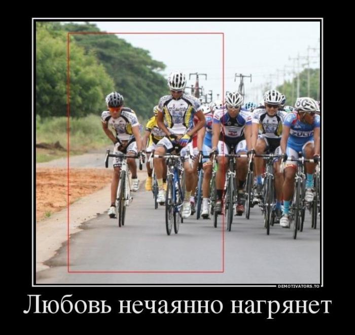 Демотиваторы (67 фото)
