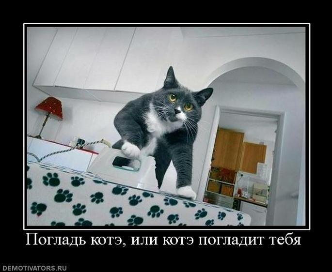 Демотиваторы (67 фото)