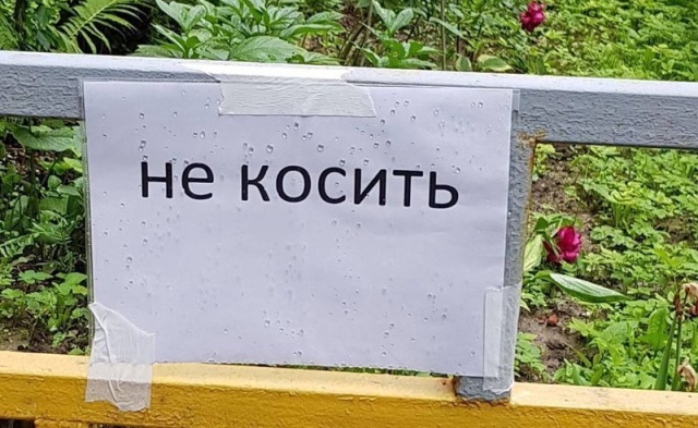 Странные и забавные объявления с наших просторов
