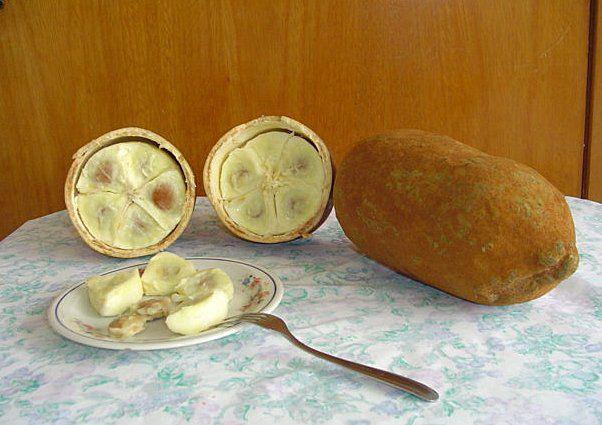 Экзотические фрукты, коотрых вы не ели Экзотические фрукты, коотрых вы не ели