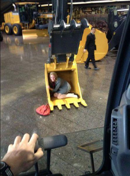 Прикольные картинки