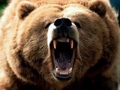 10 самых распространённых ночных кошмаров 10 самых распространённых ночных кошмаров