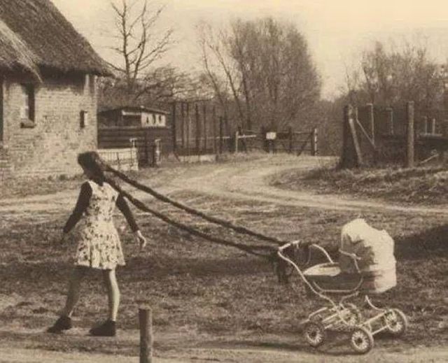 Прикольные картинки (79 фото)