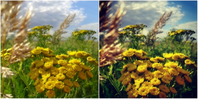 Как сделать отличную фотографию на смартфон