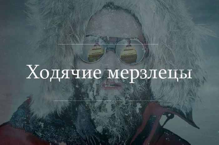 Порция картинок