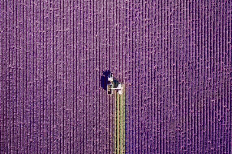 20 самых потрясающих фотографий, сделанных дронами в 2016 году