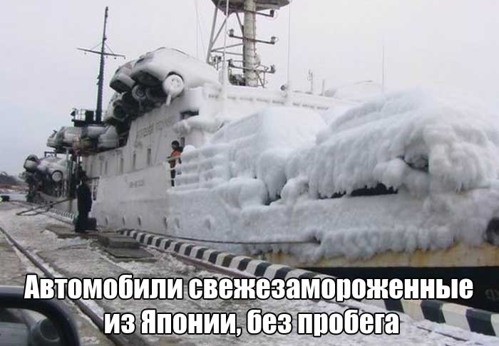 Прикольные картинки