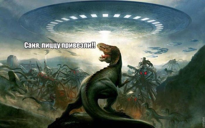 Прикольные картинки