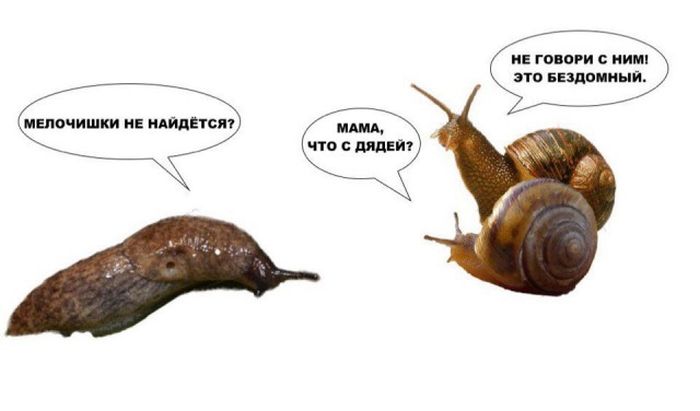 Прикольные картинки