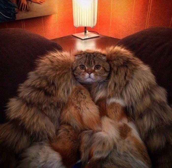 Больше чем просто фото