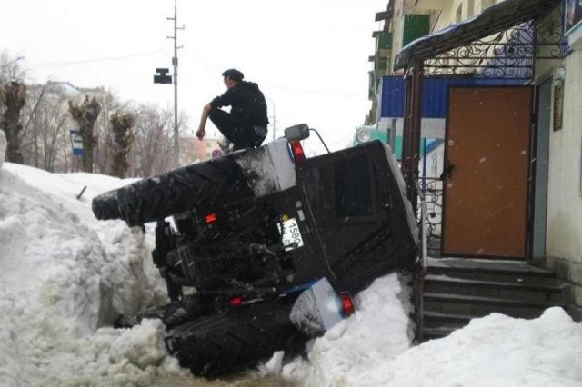 Прикольные картинки