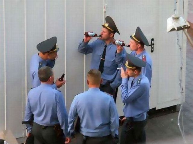 Прикольные картинки (50 фото)