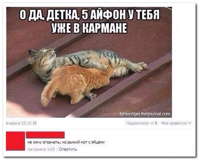 Смешные комментарии из социальных сетей