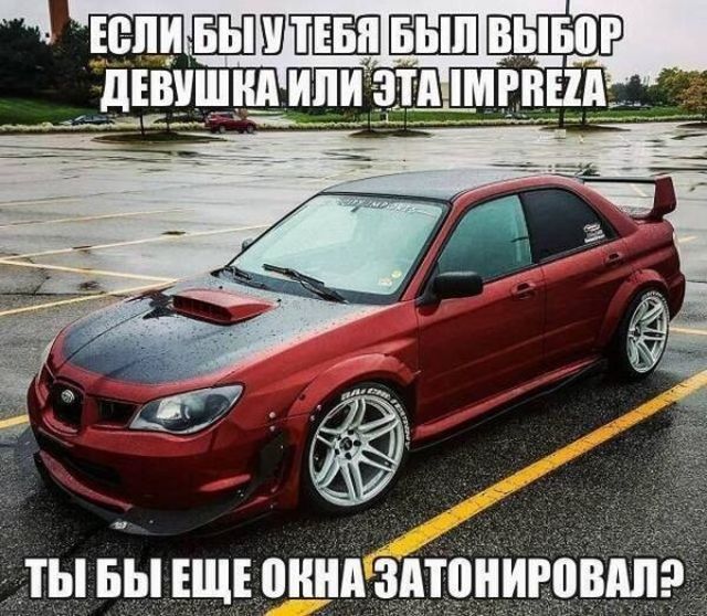 Смешные картинки с подписями
