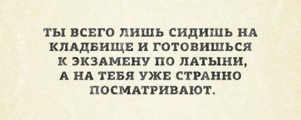 Прикольные картинки (88 фото)