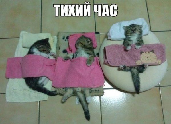 Прикольные картинки (88 фото)