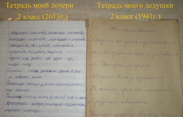 Прикольные картинки (88 фото)