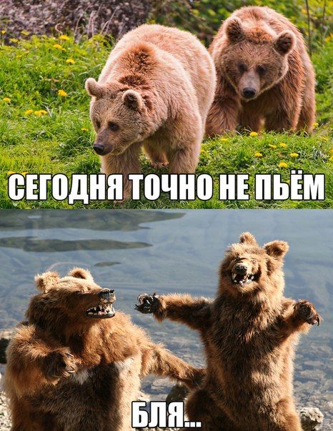 Порция картинок