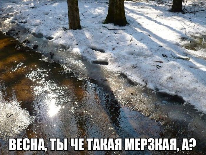 Порция картинок