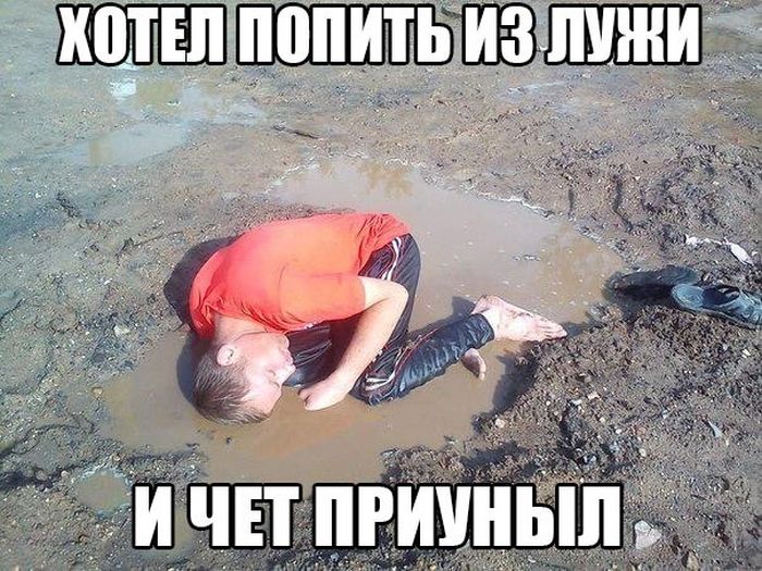 Порция картинок