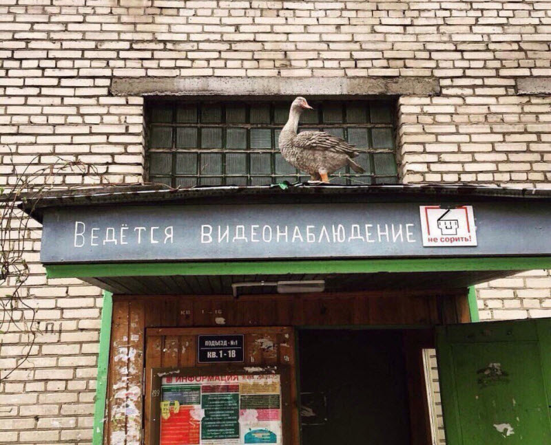 Удивительные снимки с российских просторов