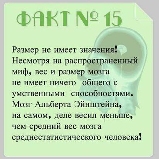 Факты о мозге