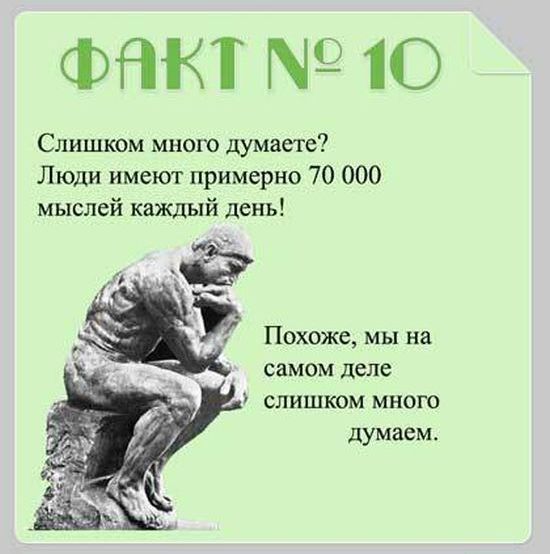 Факты о мозге