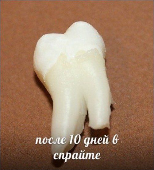 Зубы и популярные напитки