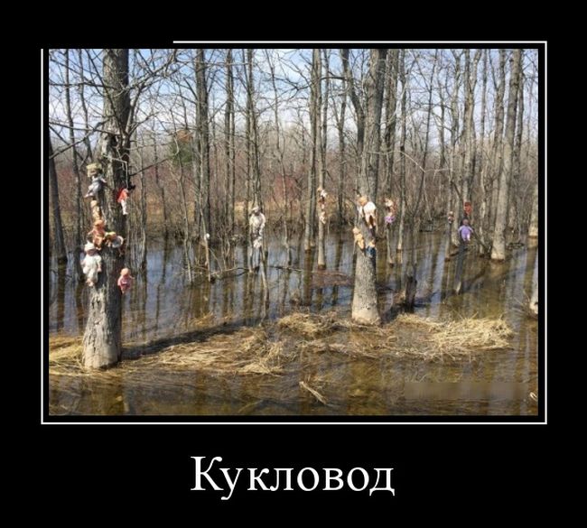 Демотиваторы