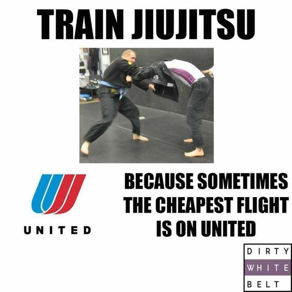 Последствия инцидента с применением силы в отношении пассажира авиакомпании United Airlines Последствия инцидента с применением силы в отношении пассажира авиакомпании United Airlines