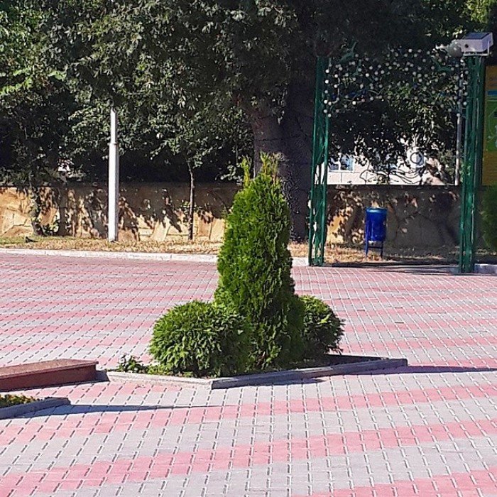 Необычные фотографии, которые помогут определить вашу стадию испорченности