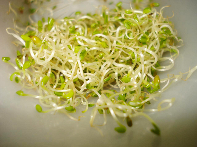 Крайне опасные продукты для беременных женщин Крайне опасные продукты для беременных женщин