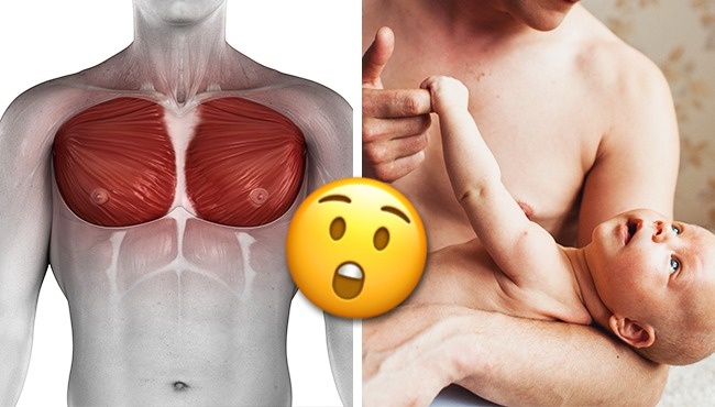 8 фактов о мужском теле, которых мы не знали 8 фактов о мужском теле, которых мы не знали