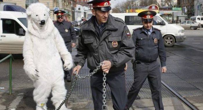 Только у нас в России