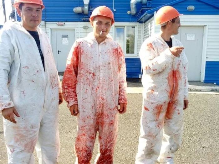 Пугающие фотографии и разная жуть