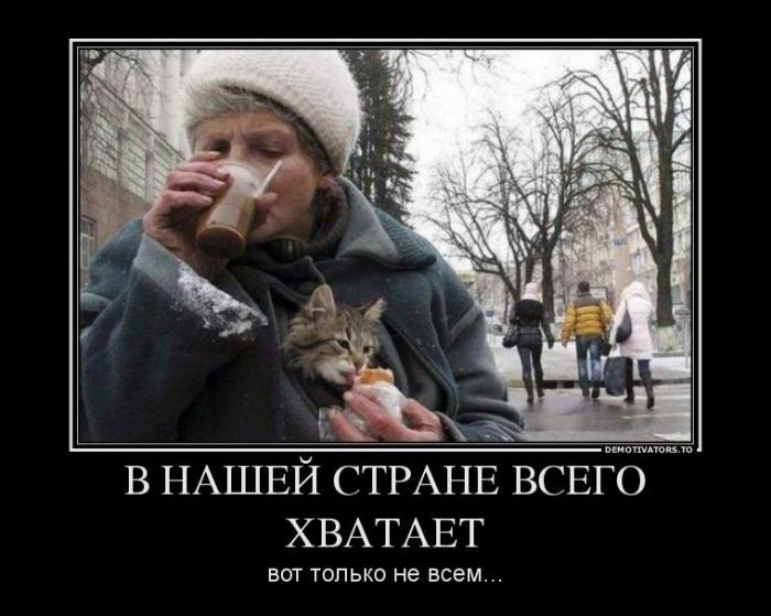 Демотиваторы (73 фото)